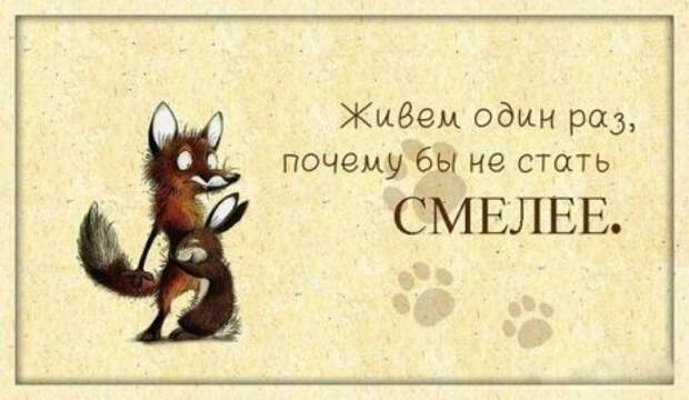 Позитив так и прет...