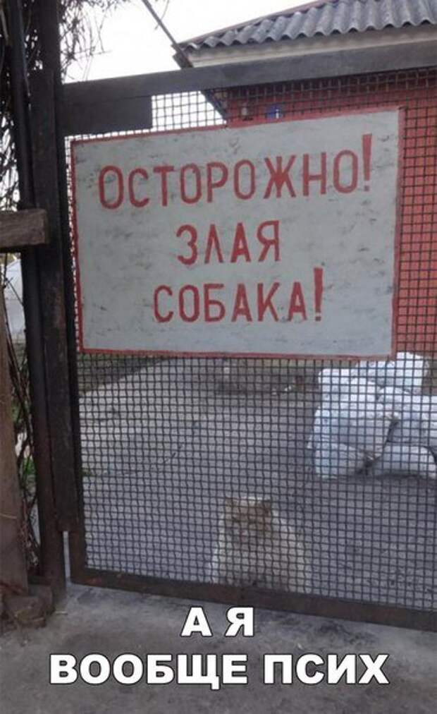 Новые прикольные фотомемы (23 шт)