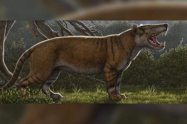 Слава богу, эта зверюг вымерла 23 млн. лет назад интересно, наука, супер-хищник