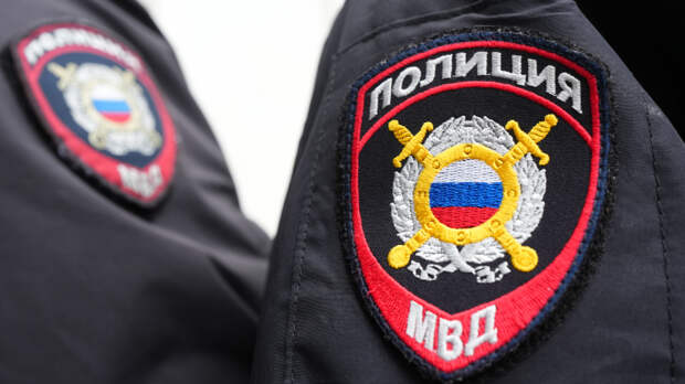 Сын чемпионки по борьбе Елены Егошиной нашелся