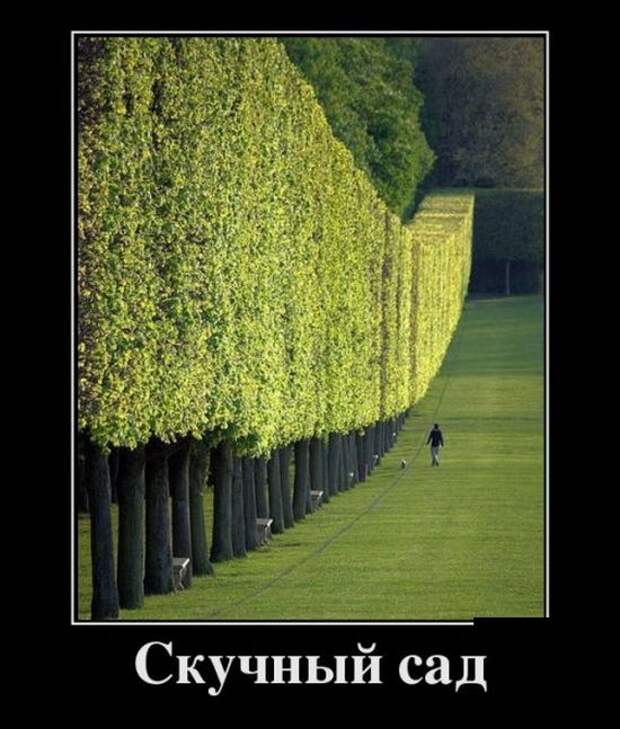 Демотиваторы (30 фото)