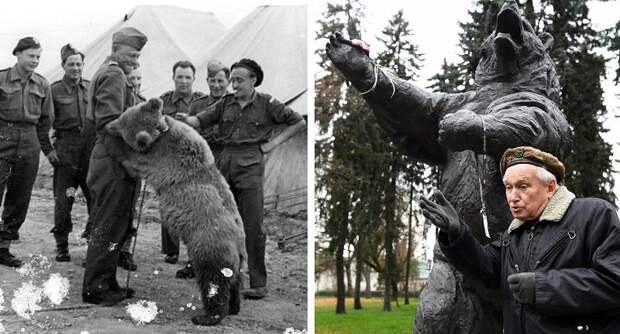Войтек — медведь, который сражался с гитлеровскими нацистами