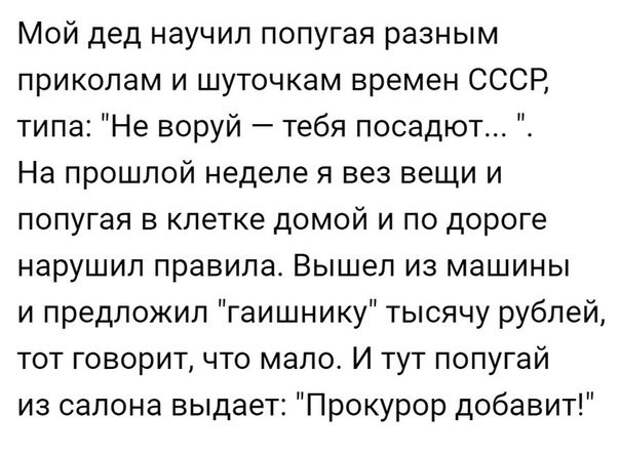 Пятничная подборка забавных картинок забавные картинки, прикол, юмор