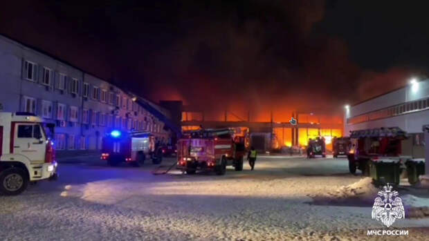 В Новосибирске потушили пожар на площади 5 тыс. кв. метров