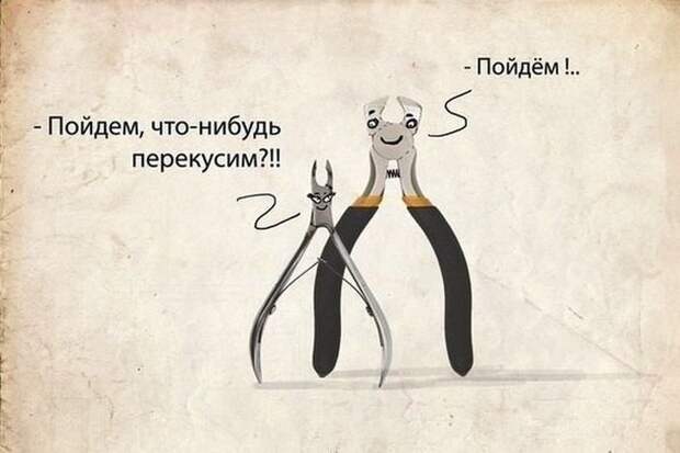 Прикольные картинки Прикольные картинки