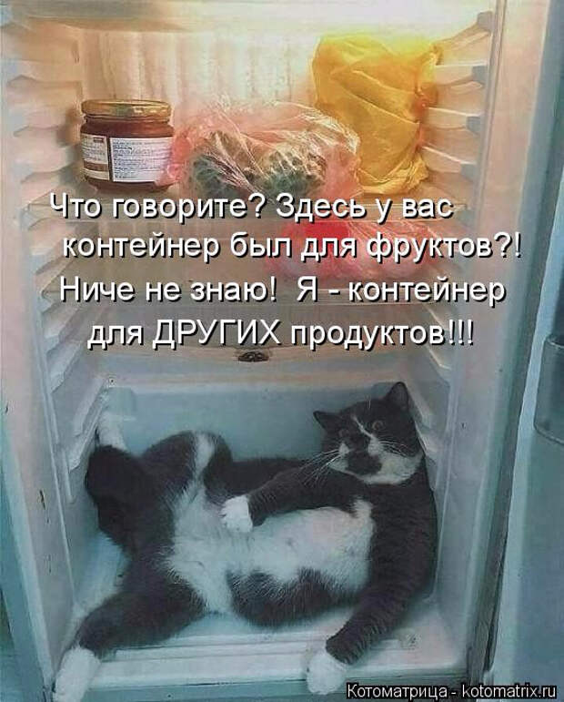 9 (547x681, 255Kb)