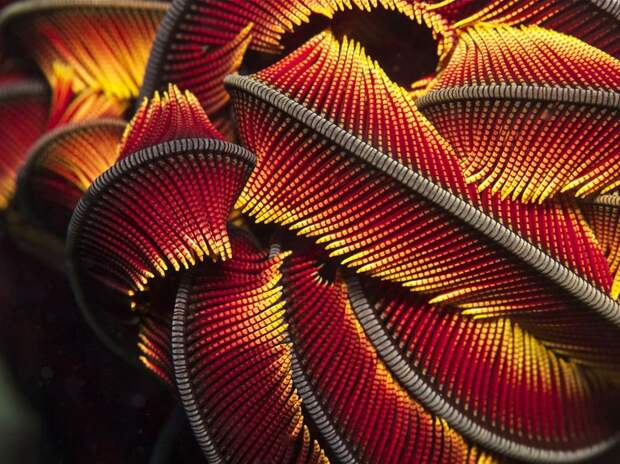 NatGeoMay18 NatGeoMay18 Обои для рабочего стола от National Geographic за май 2013