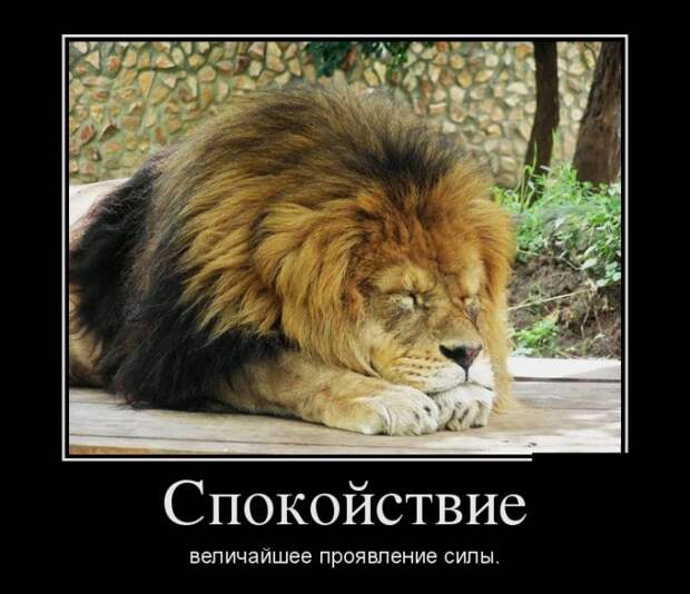Забавные демотиваторы для веселья (11 фото) Забавные демотиваторы для веселья (11 фото)