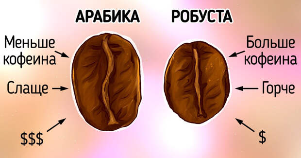 Арабика или робуста