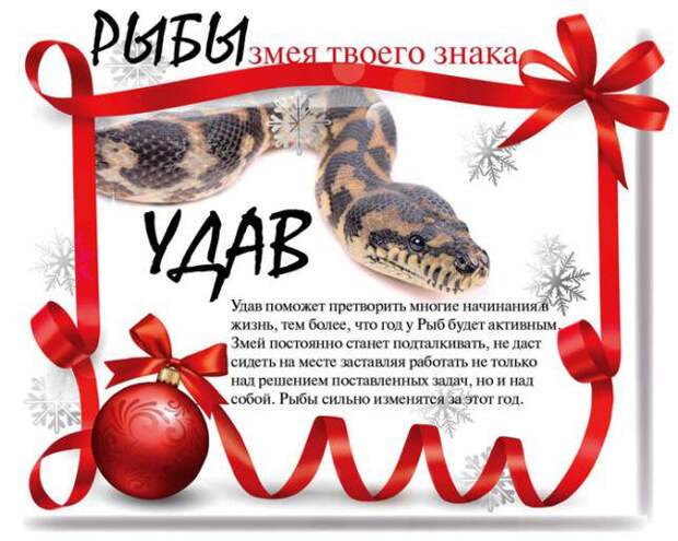 Какой змеей будешь ты в 2013 году (13 фото) Какой змеей будешь ты в 2013 году (13 фото)