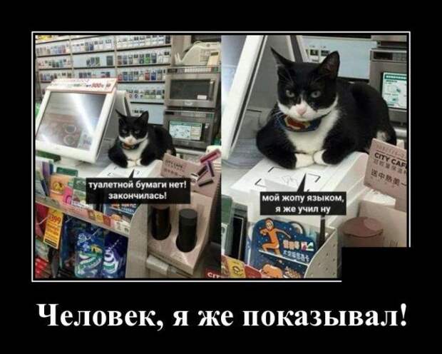demotivatory-demotivator-smeshnye-demotivatory-demotivator-so-smyslom
