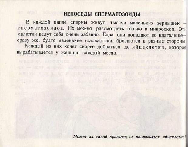 19_book_43987