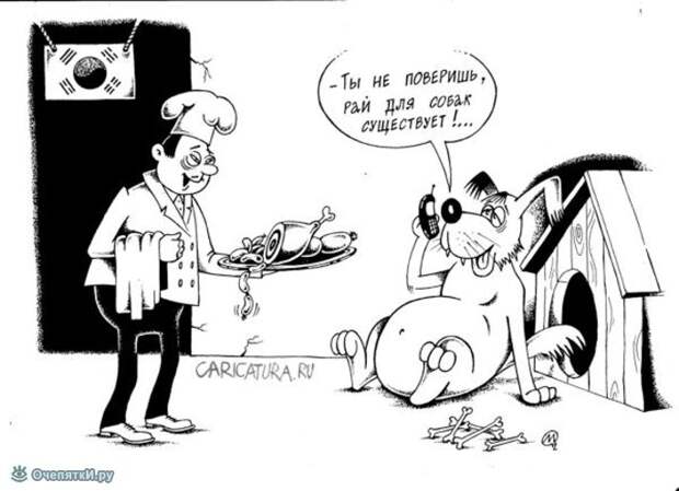 Карикатуры из жизни 12