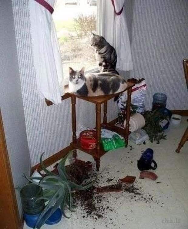 Приятно, когда тебя ждут