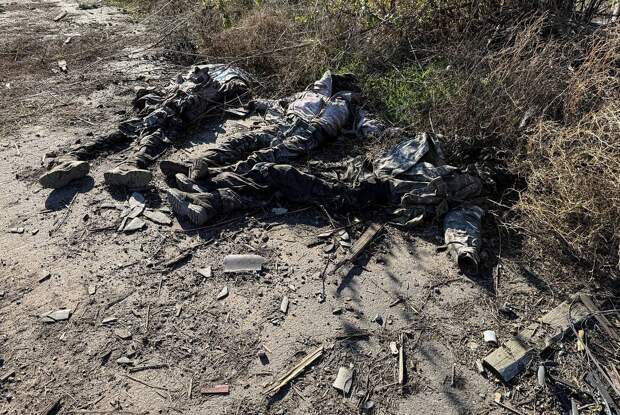 Раскрыт вероятный план ВСУ в Красноармейске