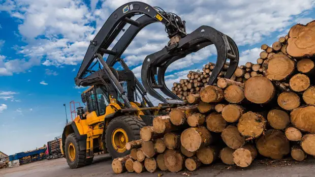 В Великобритании взлетели цены на мебель из-за запрета на экспорт древесины из России