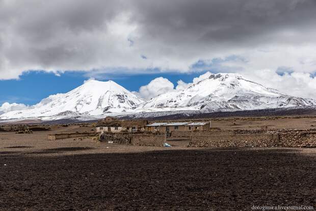 Sajama24 Национальный парк Сахама