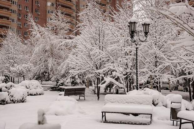 Краснодар завалит снегом: о чем говорят синоптики