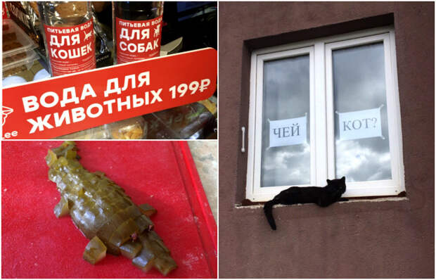 Абсурдные ситуации, которым сложно найти здравое объяснение.