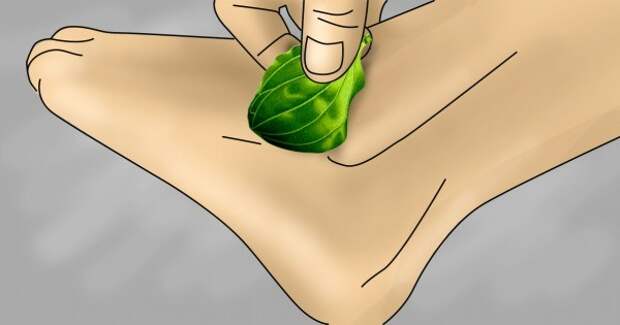 thumb-600x315 (9)