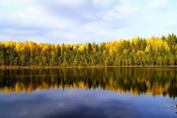 россия, люди, юмор