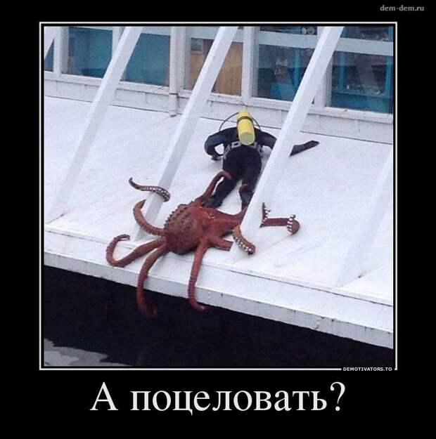 30 демотиваторов дня от 25-12-2013