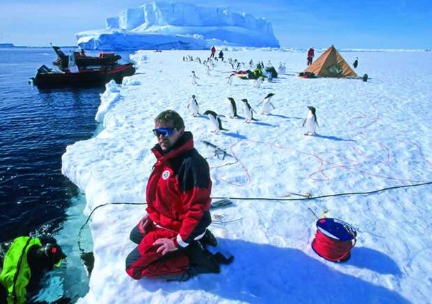 В Антарктиде нет постоянных жителей Антарктика, интересно, познавательно
