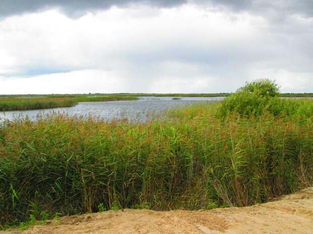 Что можно взять с собой на тот свет?  «Золотые детки» не знают, куда тратить деньги – может устроить соревнование между ними на лучший именной парк?