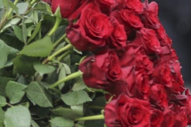 Скончался актёр Владимир Ершов — сыграл в «Следствие ведут знатоки»