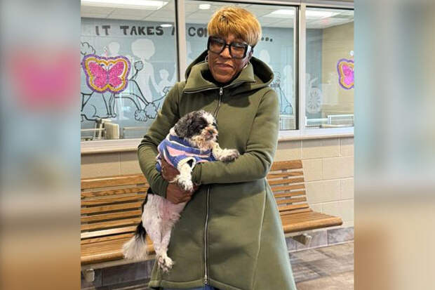 UPI: сбежавшая из дома собака вернулась в семью спустя 9 лет