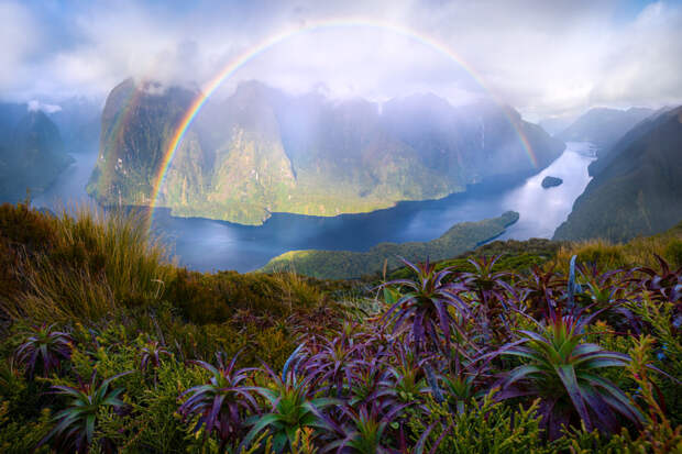 Hope From Doubt by William Patino on 500px.com