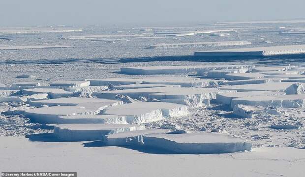 NASA: от Антарктиды откололся гигантский айсберг nasa, Антарктика, айсберг, айсберг А-68, антарктида, ледник Ларсена, льды, полярная жизнь