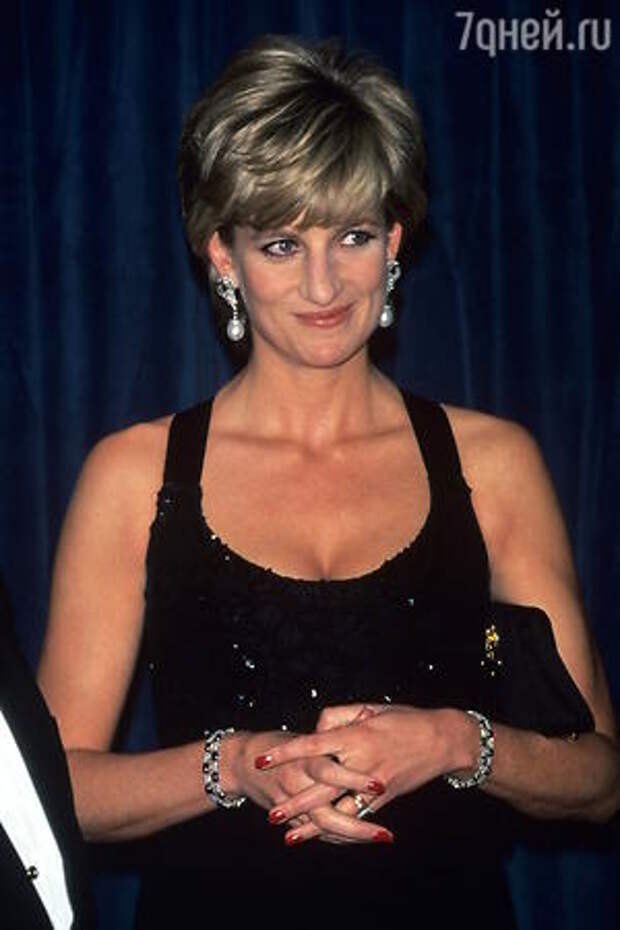 Принцесса Диана, 1995 год
