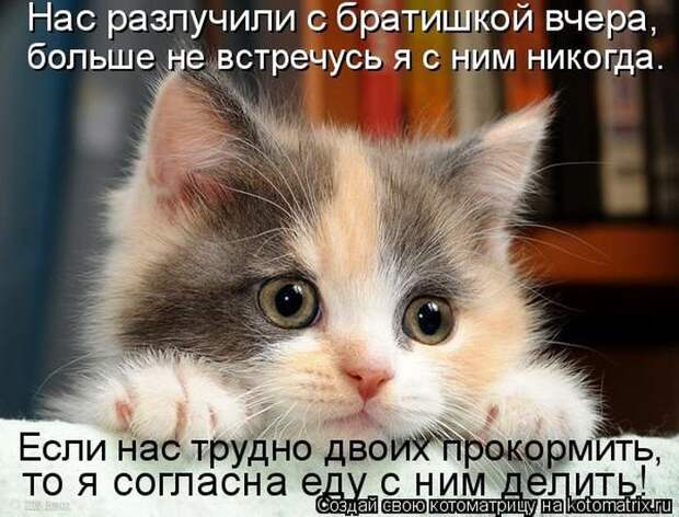 Мысли вслух :)