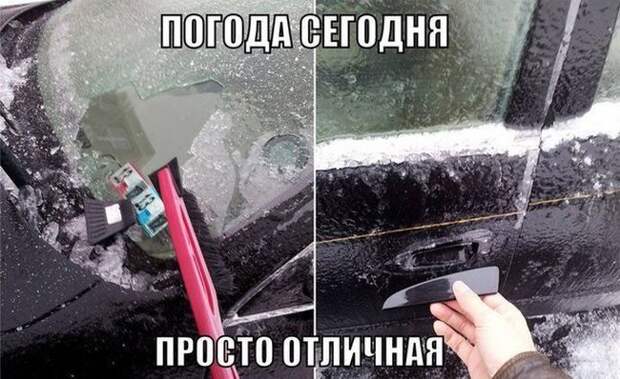 Приколы за рулём