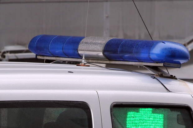 Пропавшую в Смоленске девочку нашли