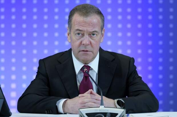 Медведев заявил, что Финляндия уже платит за русофобию