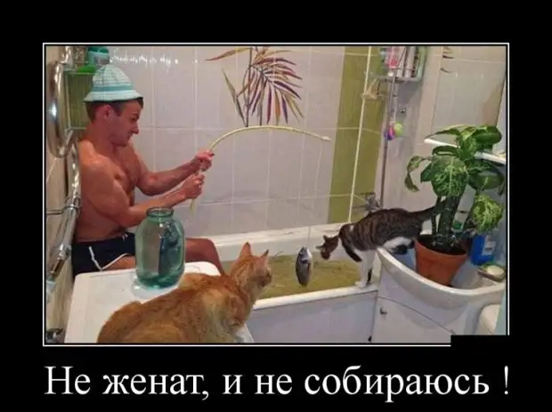 Жизнь удалась! Демотиваторы Очередная, подборка, демотиваторов, хорошего, настроенияисточник