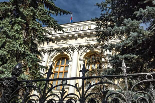 В ЛДПР положительно отозвались о решении ЦБ сократить ежедневную продажу валюты