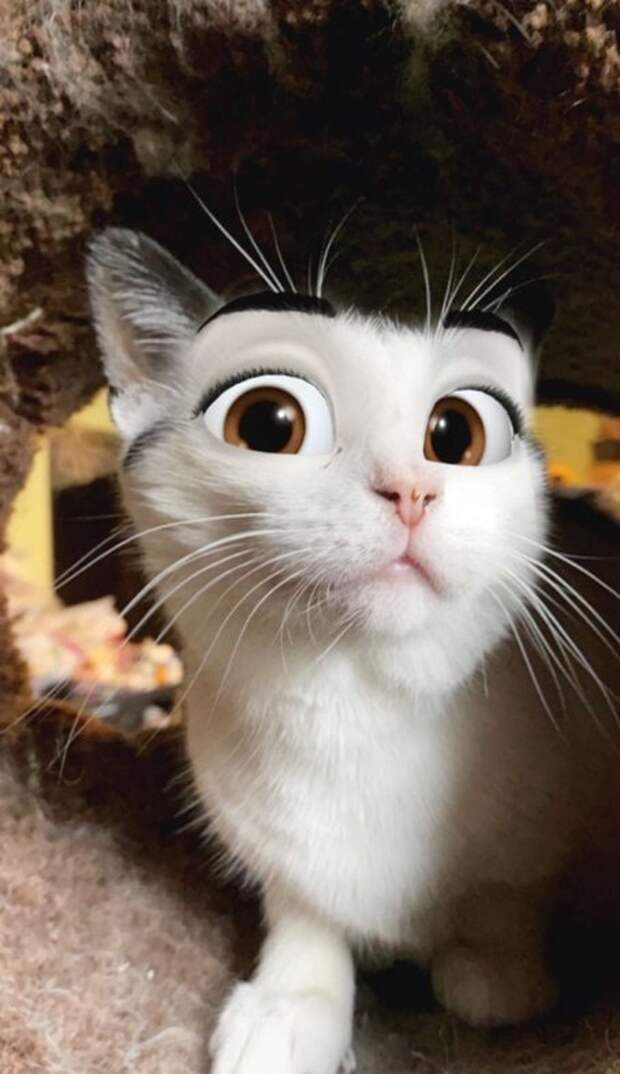 Мультяшные фильтры Snapchat