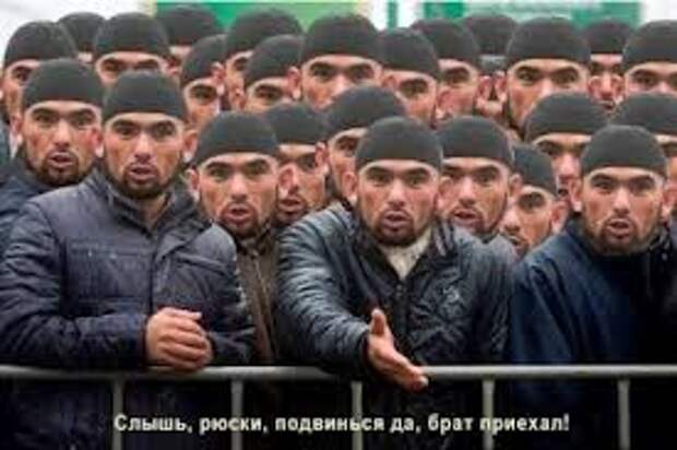 В 2013 году в Россию въехало 44 000 000 человек