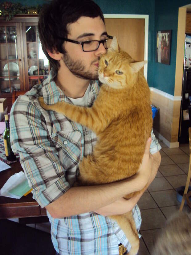 Мужчина любящий кошку. Парень с кошкой. Мужчина с котом на руках. Парень с котиком на руках. Человек держит кошку на руках.