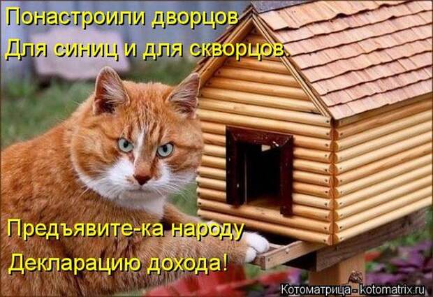 Лучшие котоматрицы недели Лучшие котоматрицы недели
