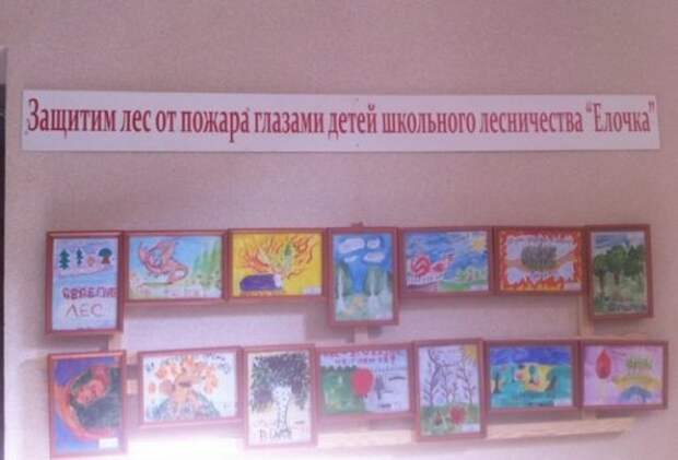 Смешные вывески, объявления и реклама (20 фото)