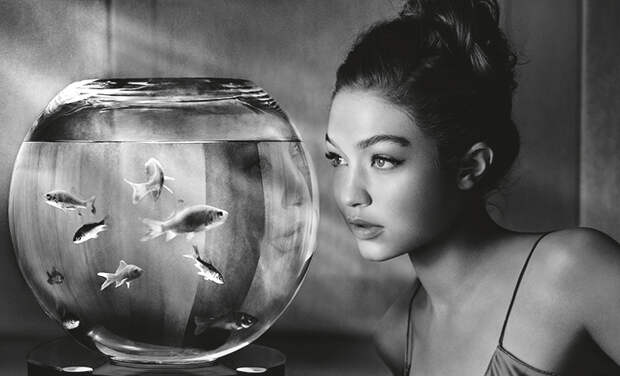 Куда пойти в феврале: гид по самым интересным мероприятиям в городе