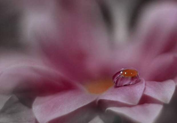 14 (700x488, 15Kb)