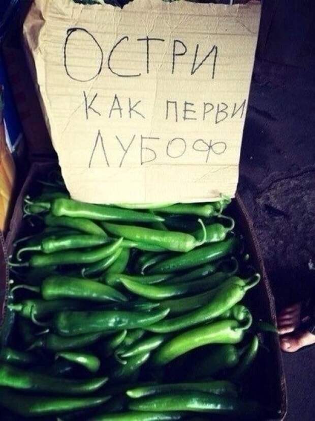 Забавные надписи и объявления Забавные надписи и объявления