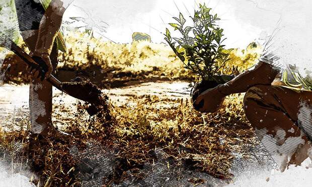 Летом Орёл ожидают цветочные сюрпризы от «Спецавтобазы»