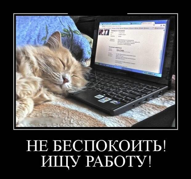 Демотивируй от АРОН за 30 октября 2018 Демотивируй от АРОН за 30 октября 2018 демотиваторы, настроение, юмор