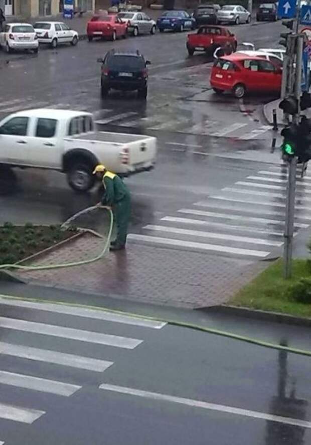Прикольные картинки Прикольные картинки